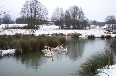 Gémages en hiver