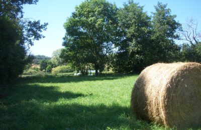 Ballots de foin nature