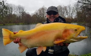 Trophée poisson