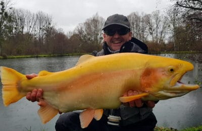 Trophée poisson