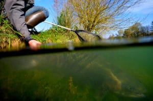 Respecter le poisson durant la pêche