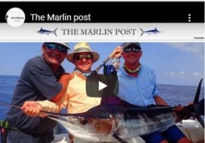 The marlin post vidéo Moulin de gémages